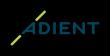 Logo der Firma Adient Interiors Ltd. & Co. KG