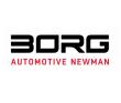 Logo der Firma BORG Automotive GmbH